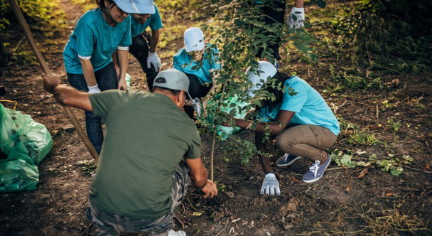 ef1de576b26439c0b0a4b46e0d833ff7f9c47e0d