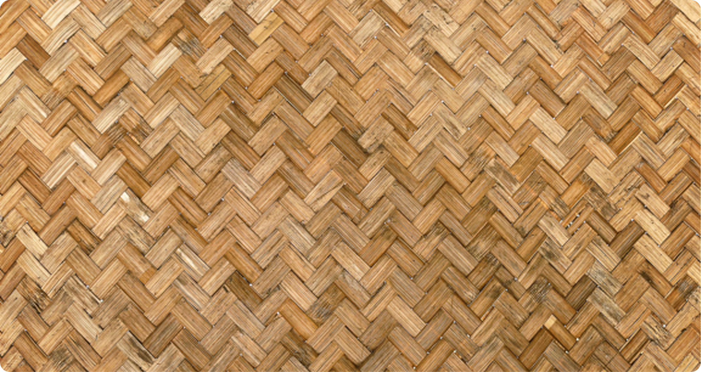 Rectangle 24 29